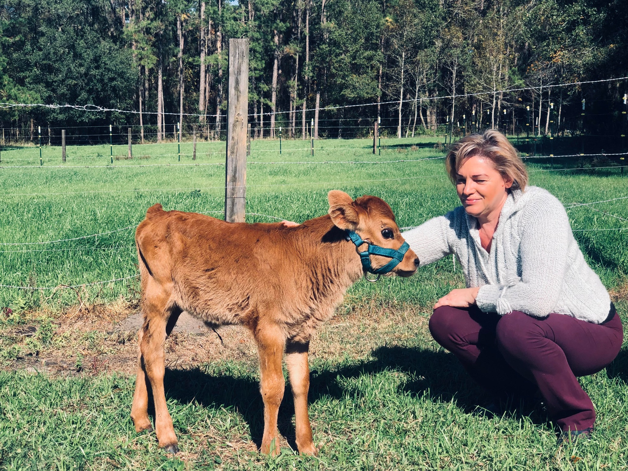 Oksana caring for a young calf at Irish Acres